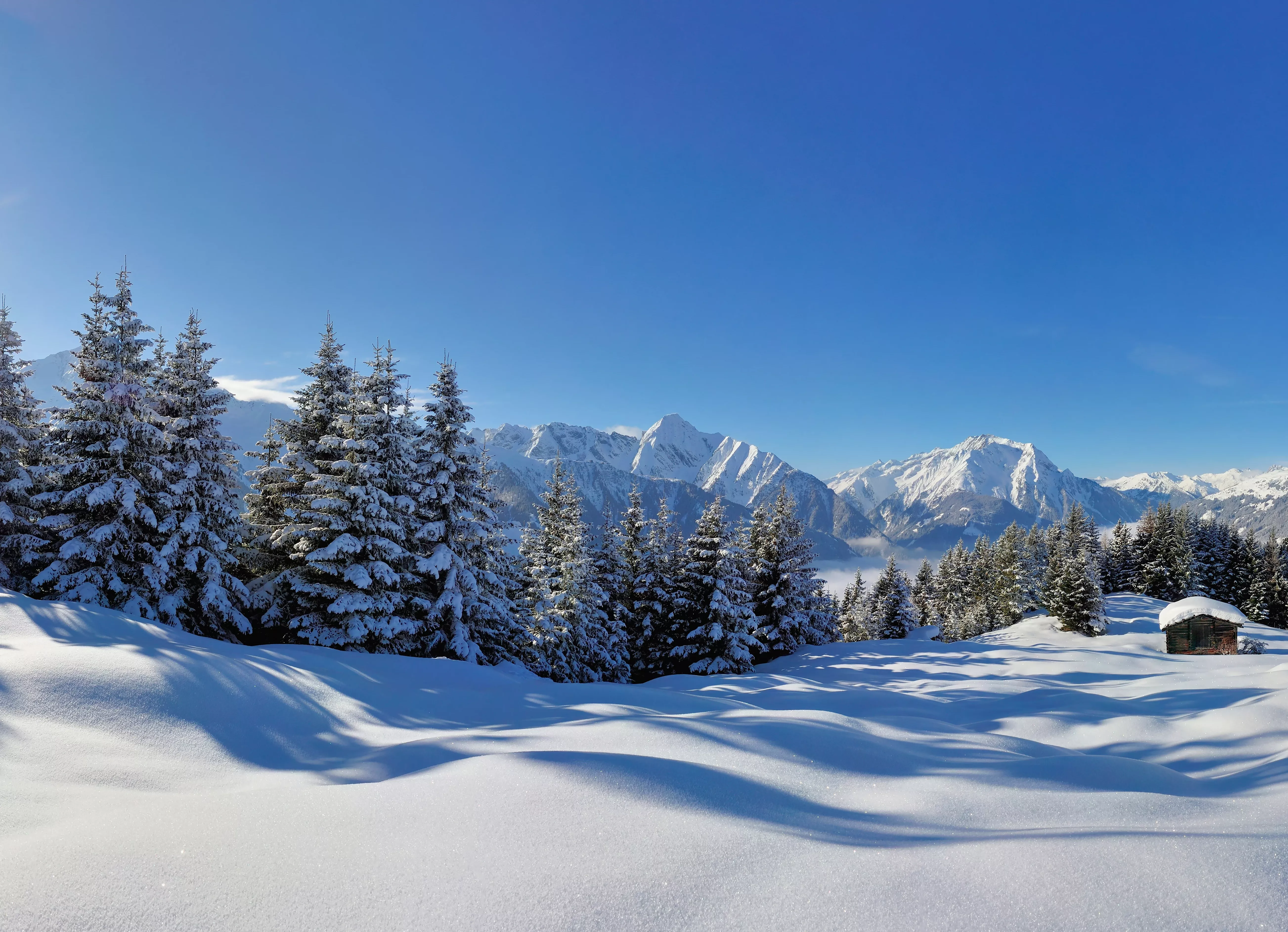 TVB Mayrhofen - Hippach /Paul Sürth