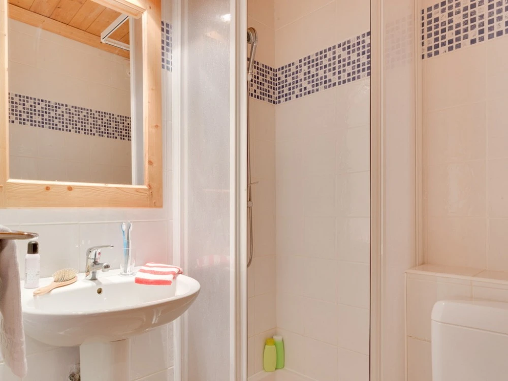 Les Chalets L'adonis - badkamer met douchecabine
