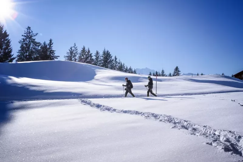 Montafon Tourismus / Andreas Haller