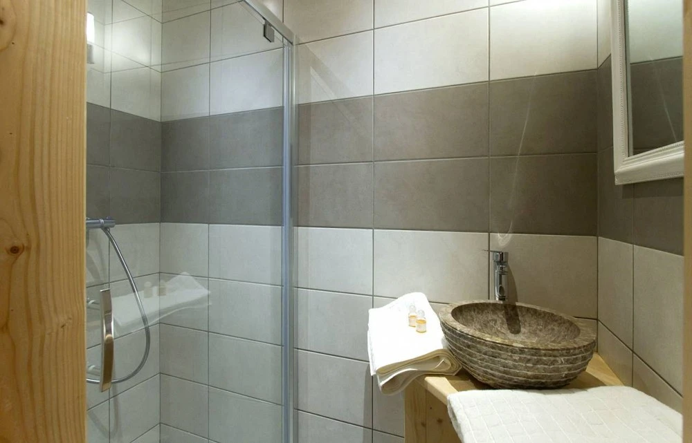 Chalet de Sophie - douchecabine en wastafel