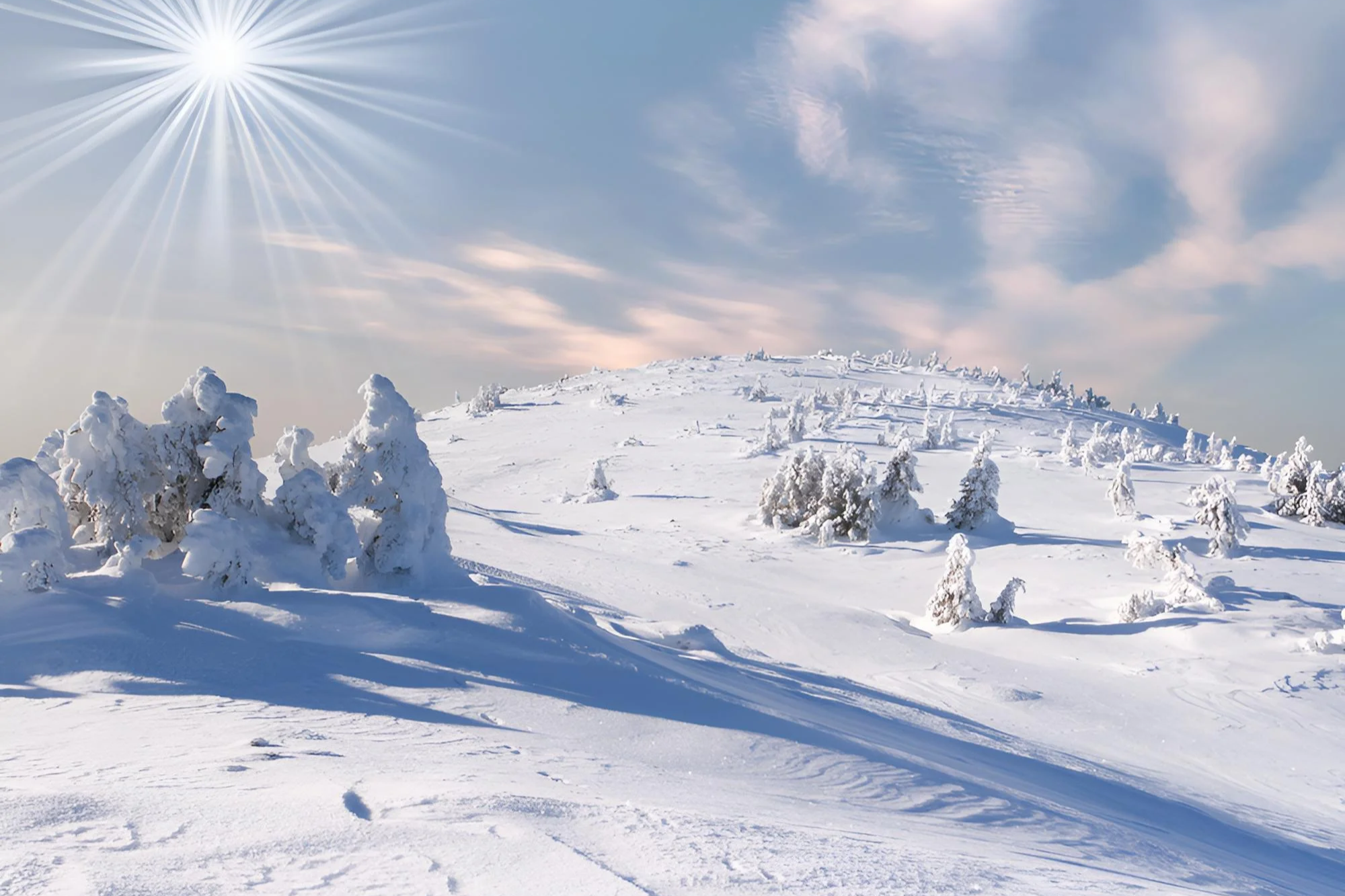 Saint Francois Longchamp