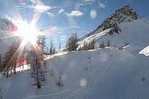 Serre Chevalier - berg met bomen