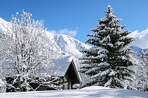 Saint Sorlin d'Arves - bergen bedekt met sneeuw en bomen