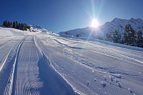 La Norma - piste